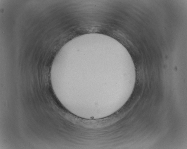 X0000078260030200612011705