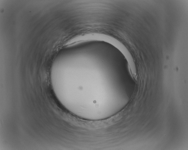 X0000078260031200612011705