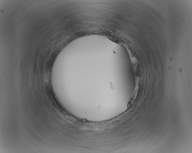 X0000078260033200612011705