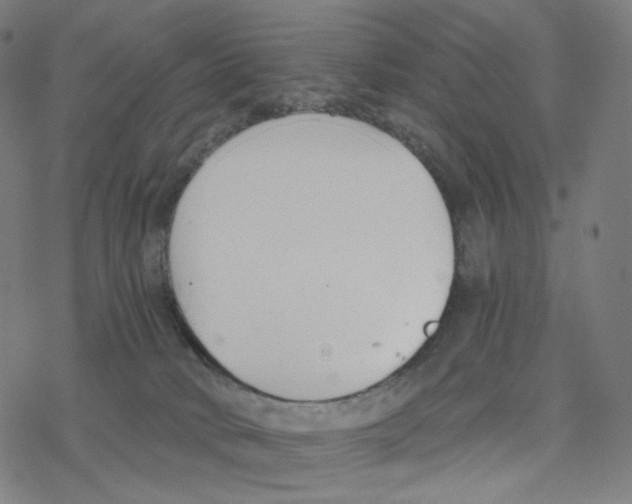 X0000078260034200612011705