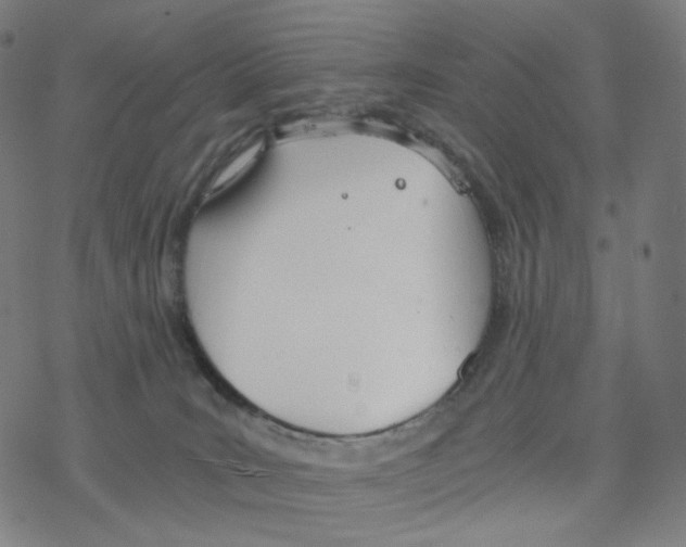 X0000078260035200612011705