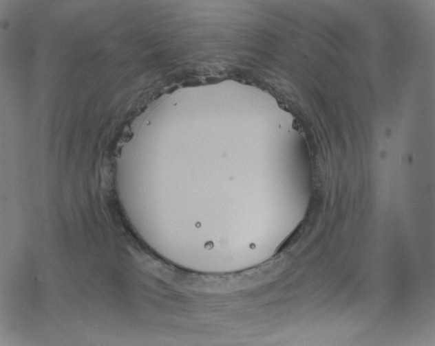 X0000078260037200612011705