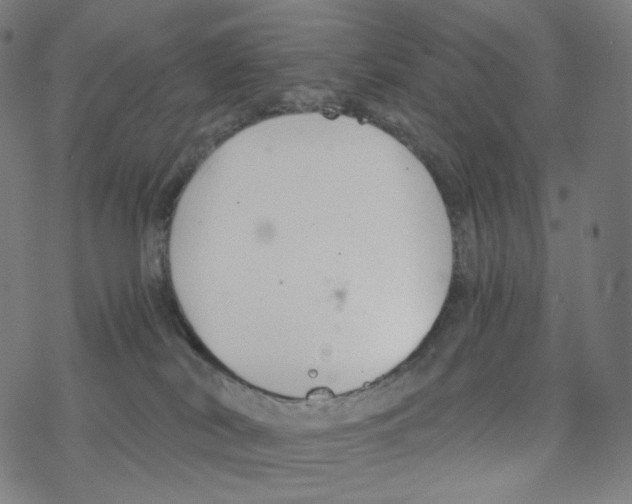 X0000078260038200612011705