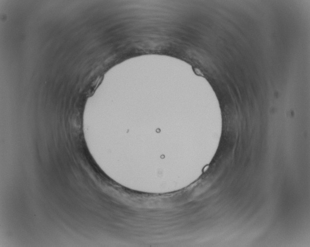 X0000078260040200612011705