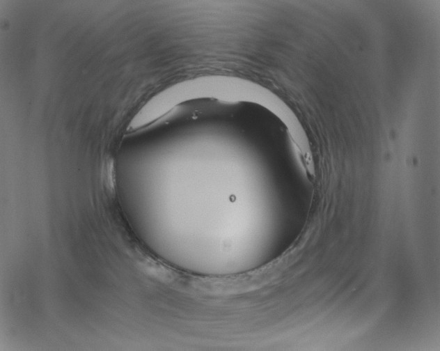 X0000078260041200612011705