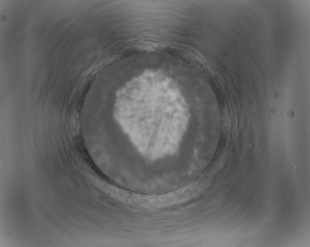 X0000078260043200612011705