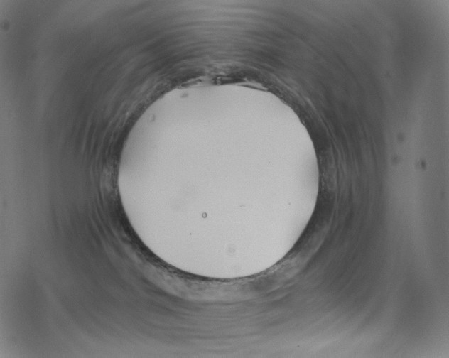 X0000078260044200612011705