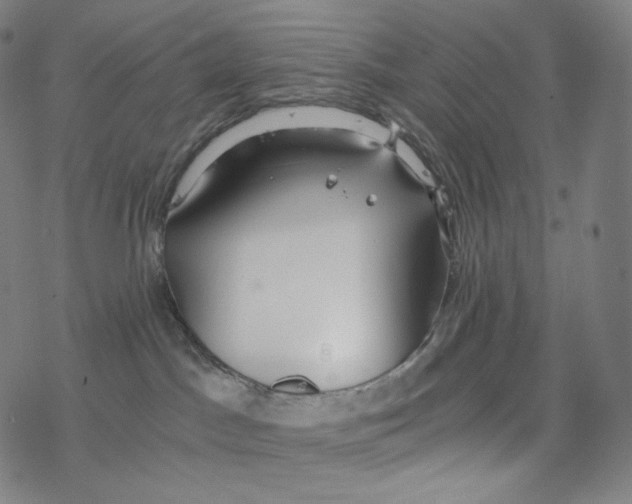 X0000078260045200612011705