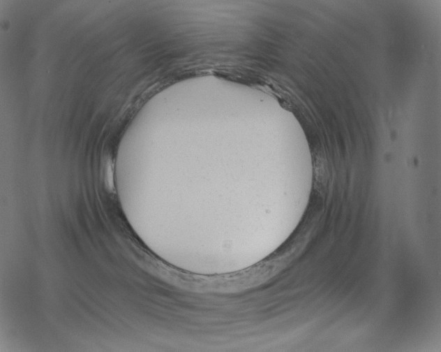 X0000078260046200612011705