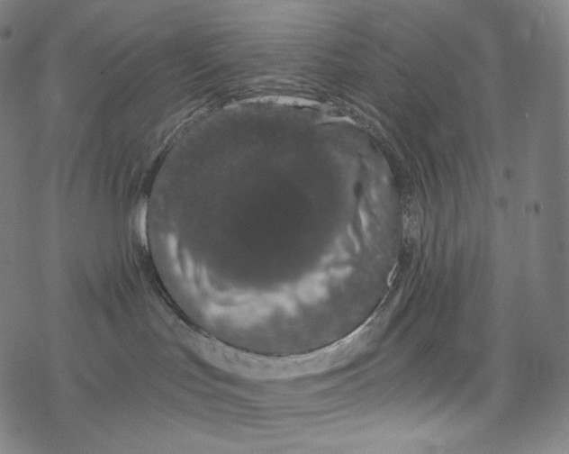 X0000078260047200612011705