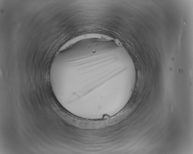 X0000078260048200612011705