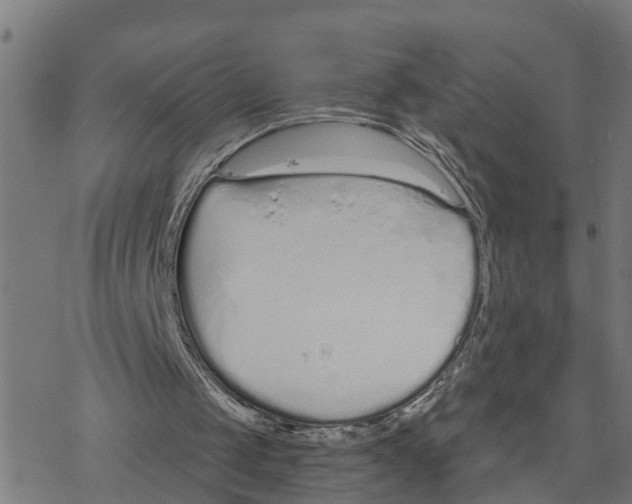 X0000078260049200612011704