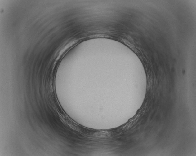 X0000078260050200612011704