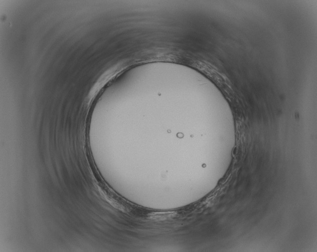 X0000078260051200612011704