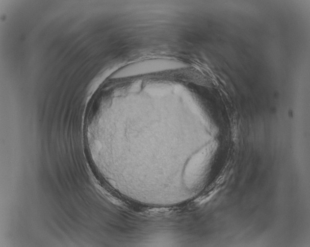 X0000078260052200612011704