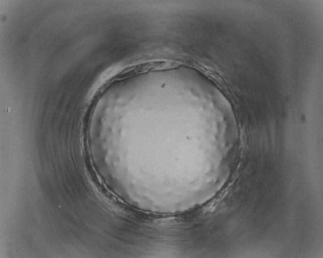 X0000078260054200612011704