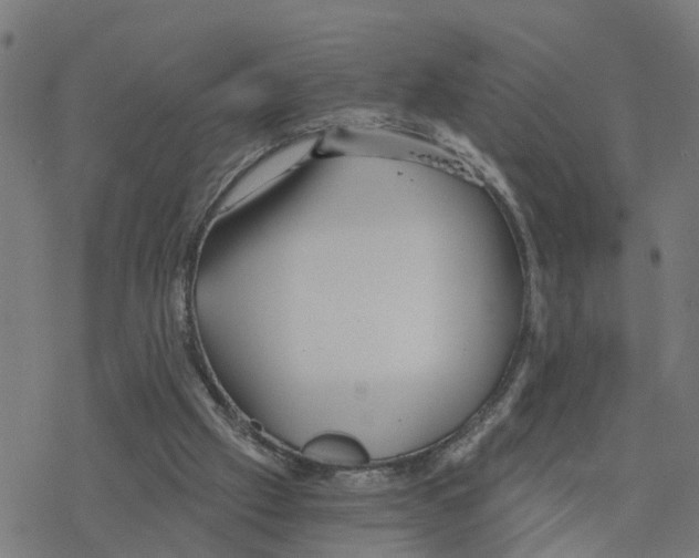 X0000078260057200612011704