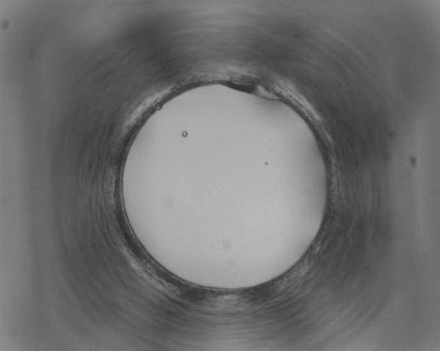 X0000078260058200612011704