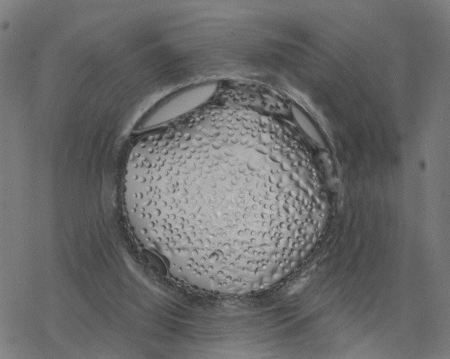 X0000078260060200612011704