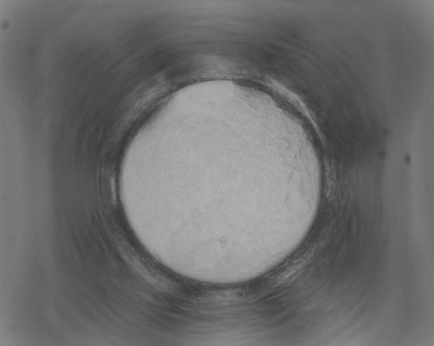 X0000078260061200612011705