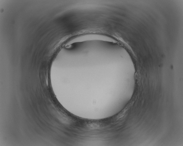 X0000078260062200612011705