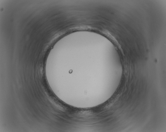 X0000078260063200612011705