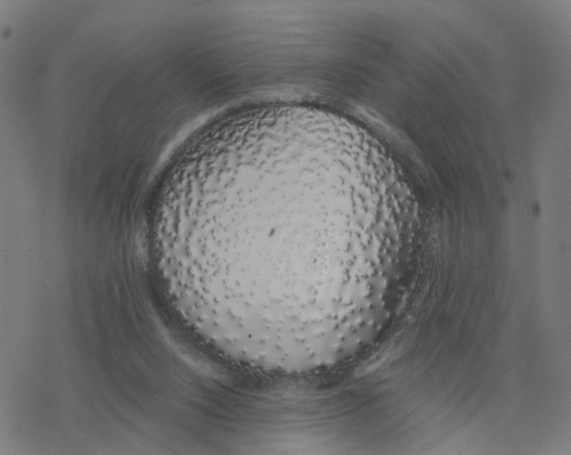 X0000078260064200612011705