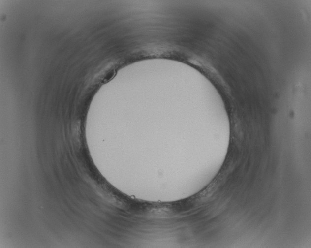 X0000078260066200612011705