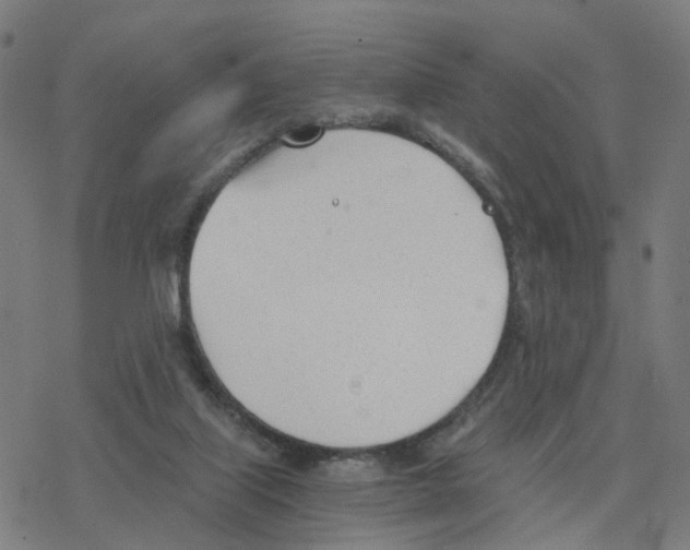 X0000078260067200612011705