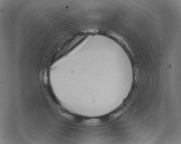 X0000078260069200612011705