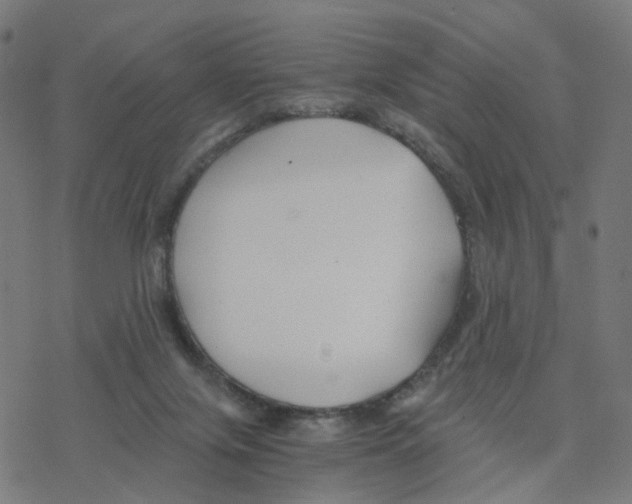 X0000078260071200612011705