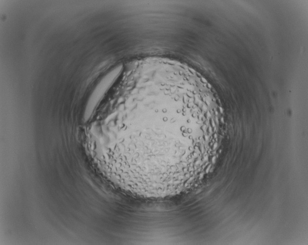 X0000078260072200612011705