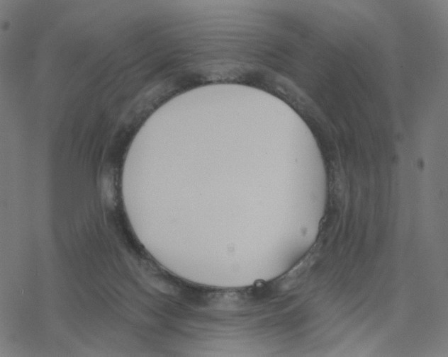 X0000078260074200612011705