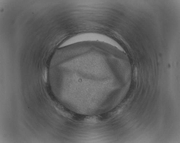 X0000078260076200612011705