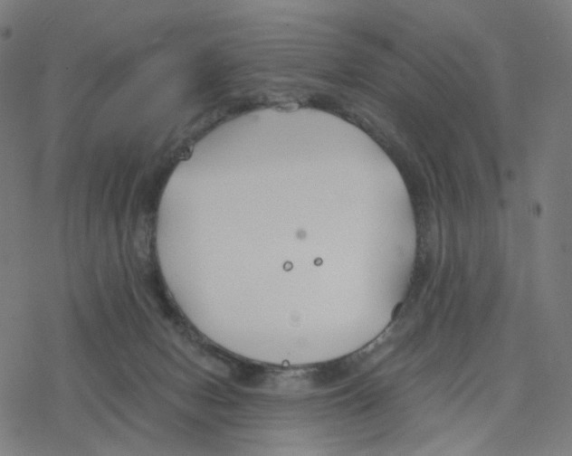 X0000078260078200612011705