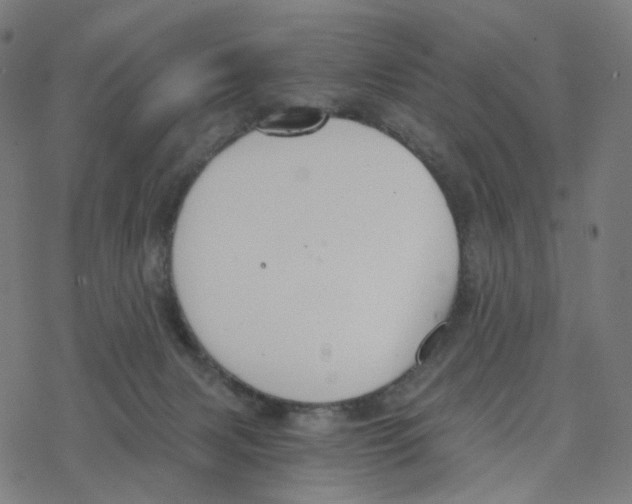 X0000078260079200612011705