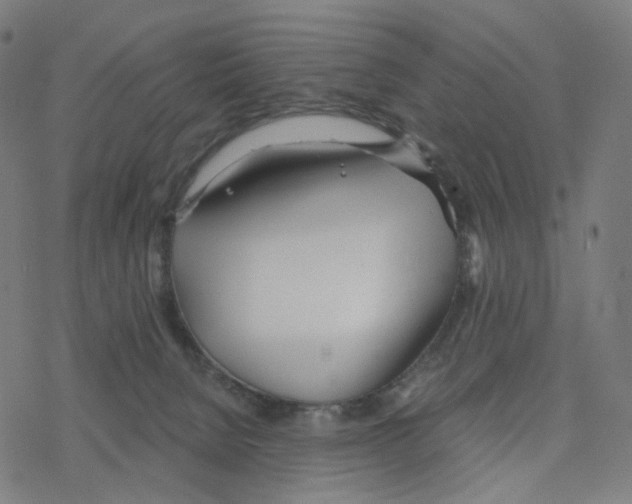 X0000078260080200612011705