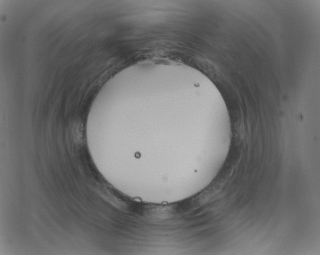 X0000078260081200612011705