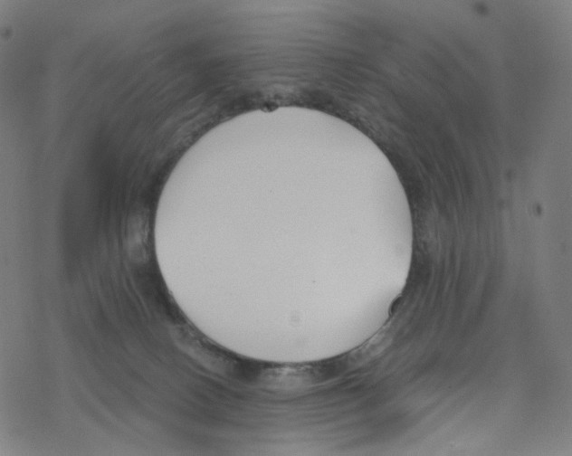 X0000078260082200612011705