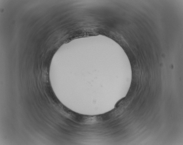 X0000078260083200612011705