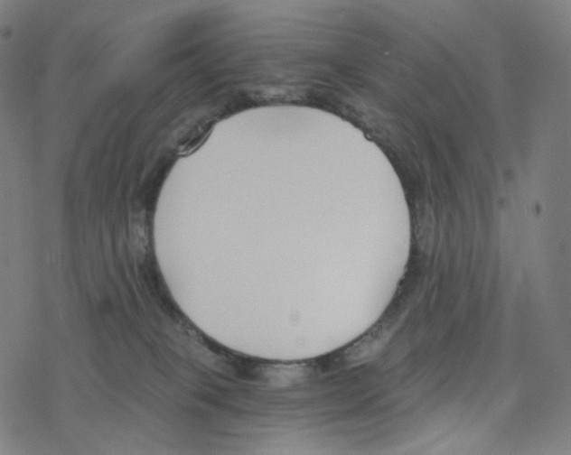 X0000078260085200612011705