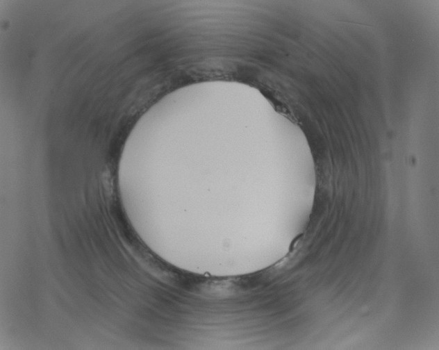 X0000078260086200612011705