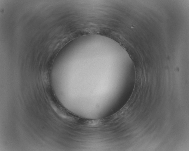 X0000078260088200612011705