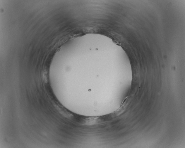 X0000078260090200612011705