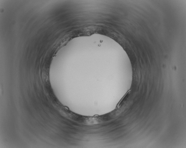 X0000078260091200612011705