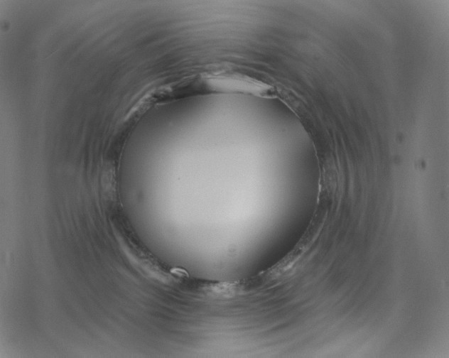 X0000078260092200612011705