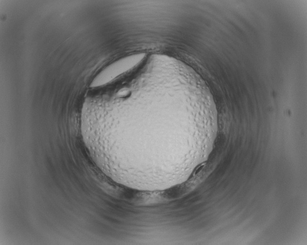 X0000078260093200612011705