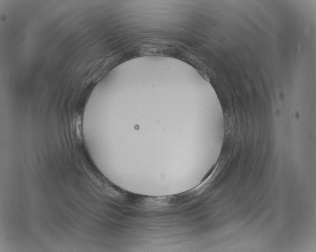 X0000078260094200612011705