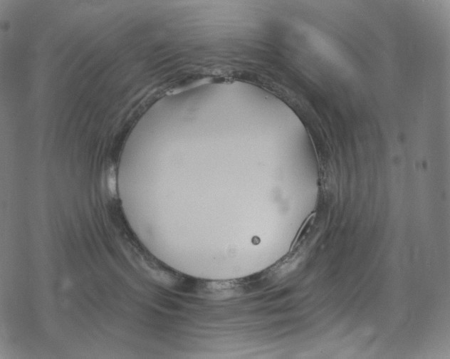 X0000078260095200612011705