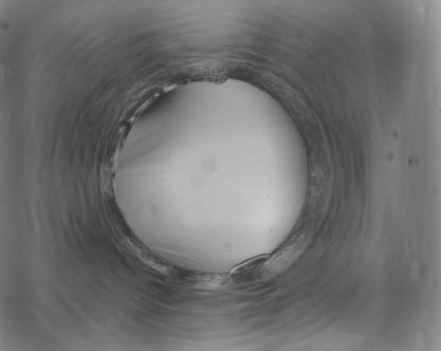 X0000078260096200612011705